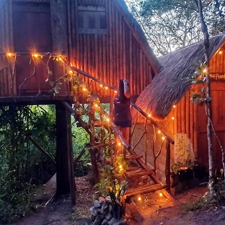 Sanctuaria Treehouses Busuanga Dış mekan fotoğraf