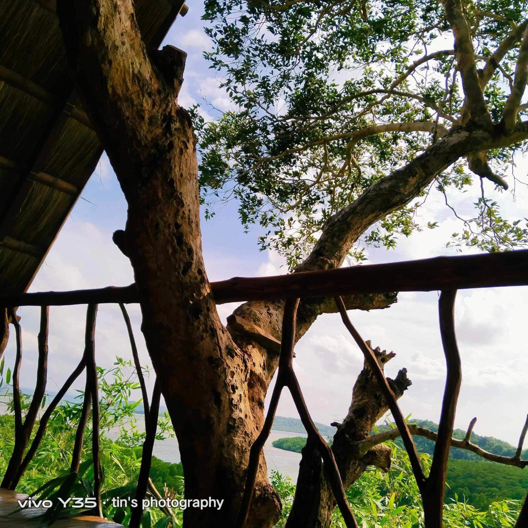 Sanctuaria Treehouses Busuanga Dış mekan fotoğraf