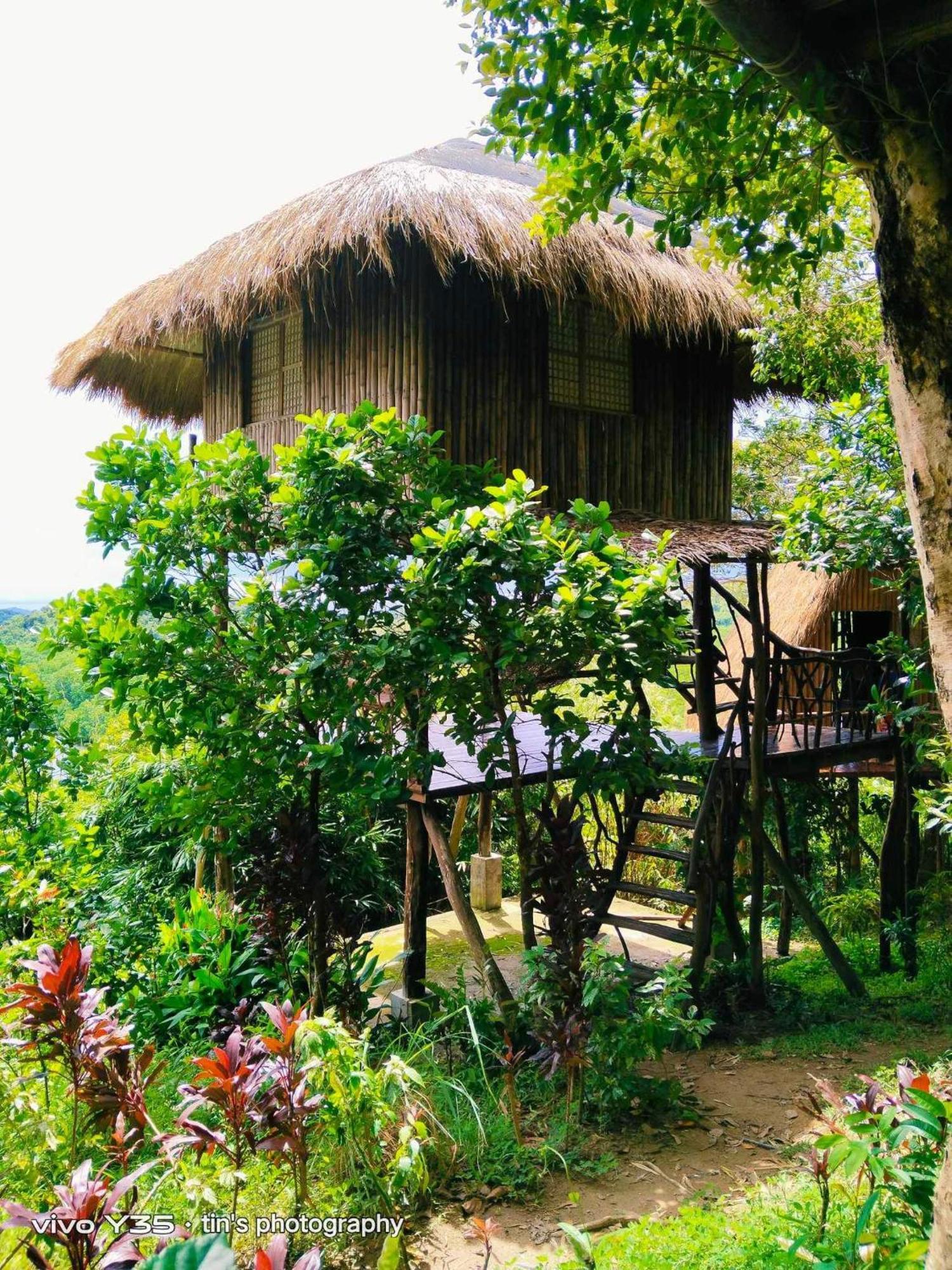 Sanctuaria Treehouses Busuanga Dış mekan fotoğraf