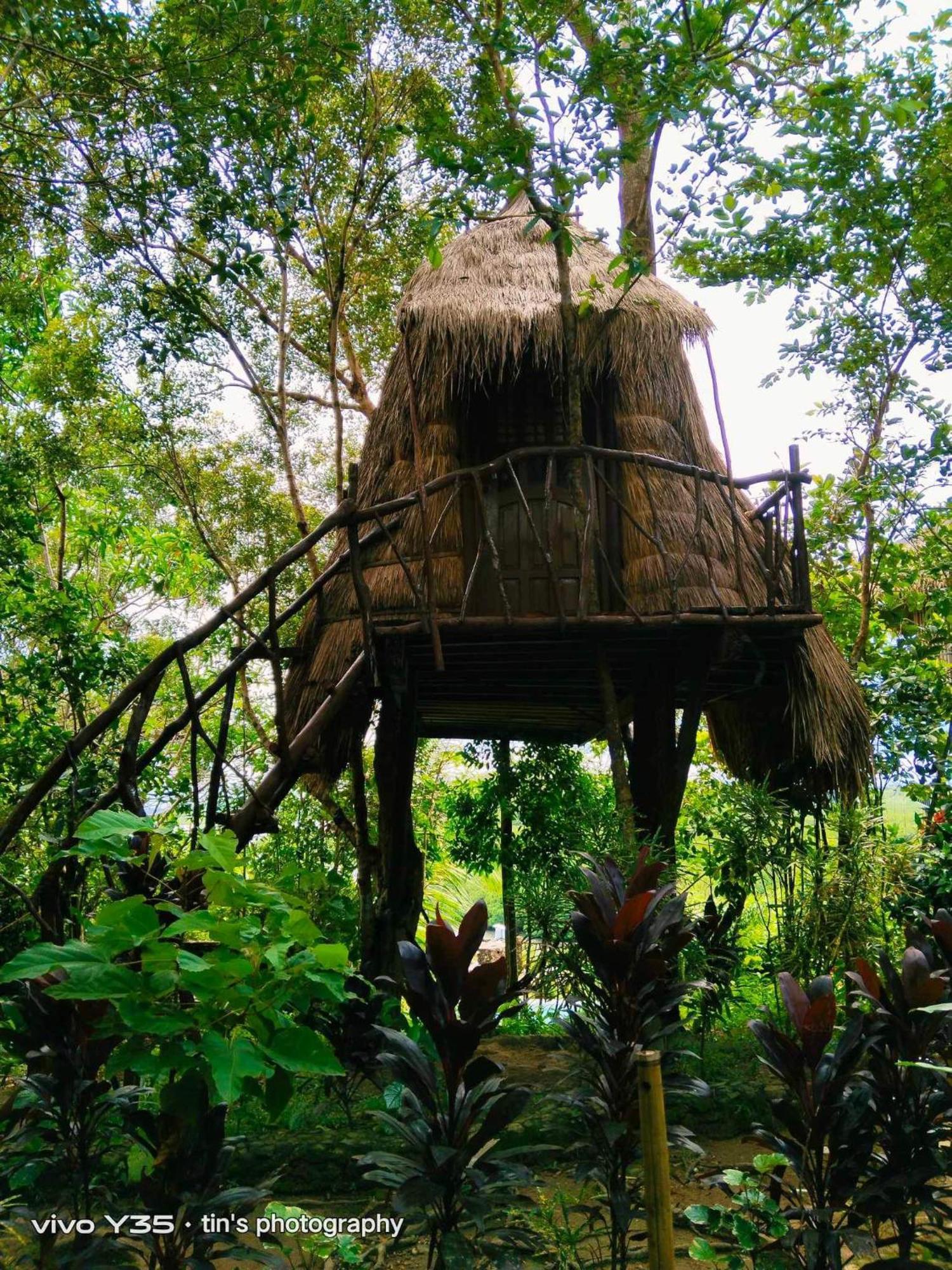 Sanctuaria Treehouses Busuanga Dış mekan fotoğraf