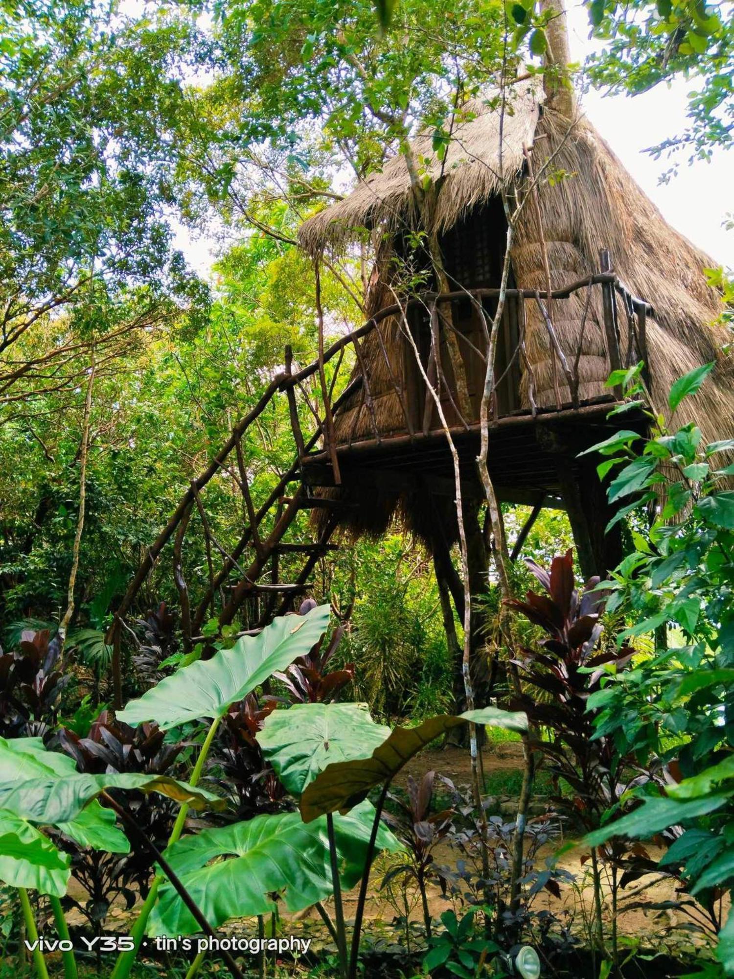 Sanctuaria Treehouses Busuanga Dış mekan fotoğraf