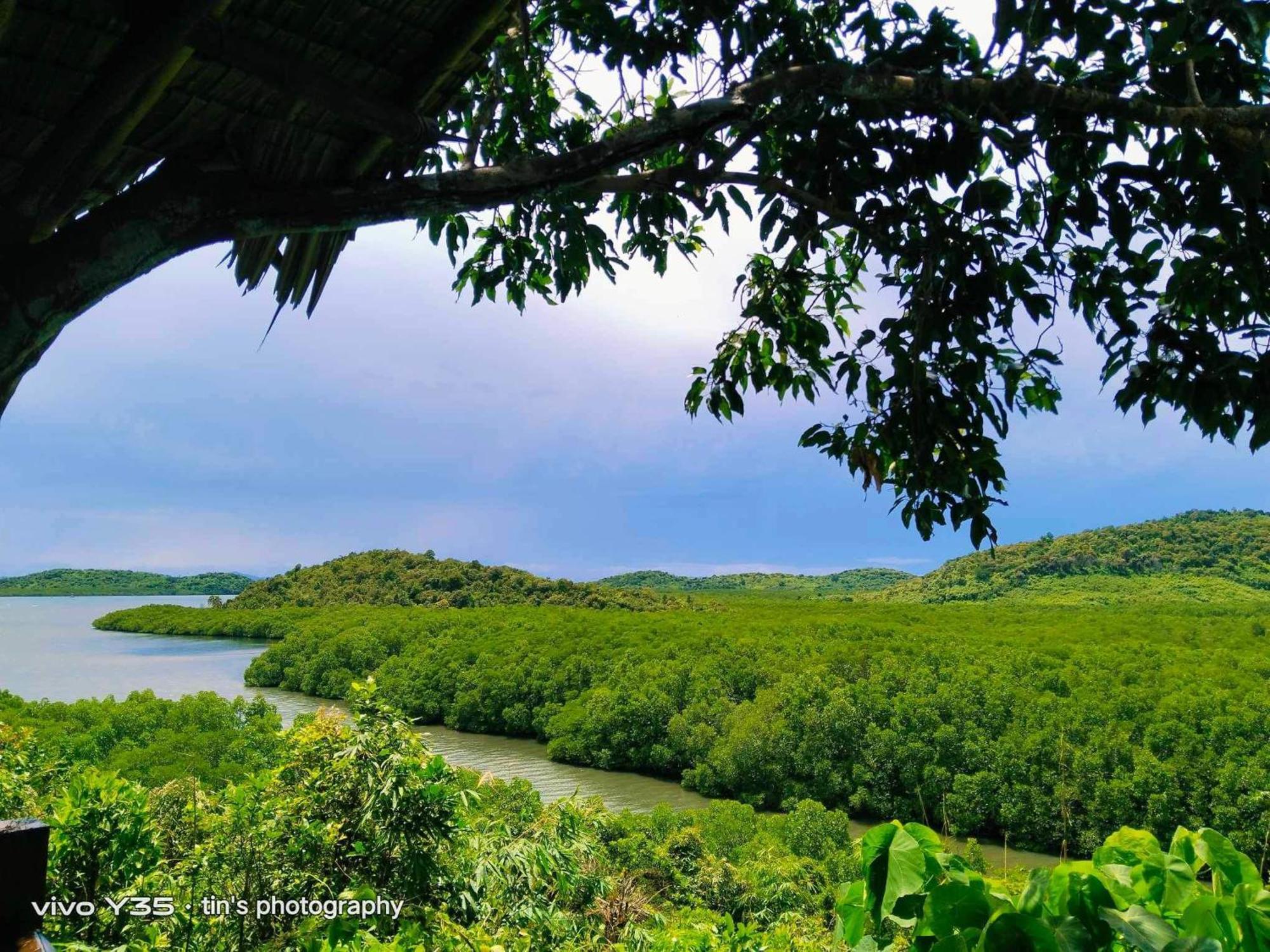 Sanctuaria Treehouses Busuanga Dış mekan fotoğraf