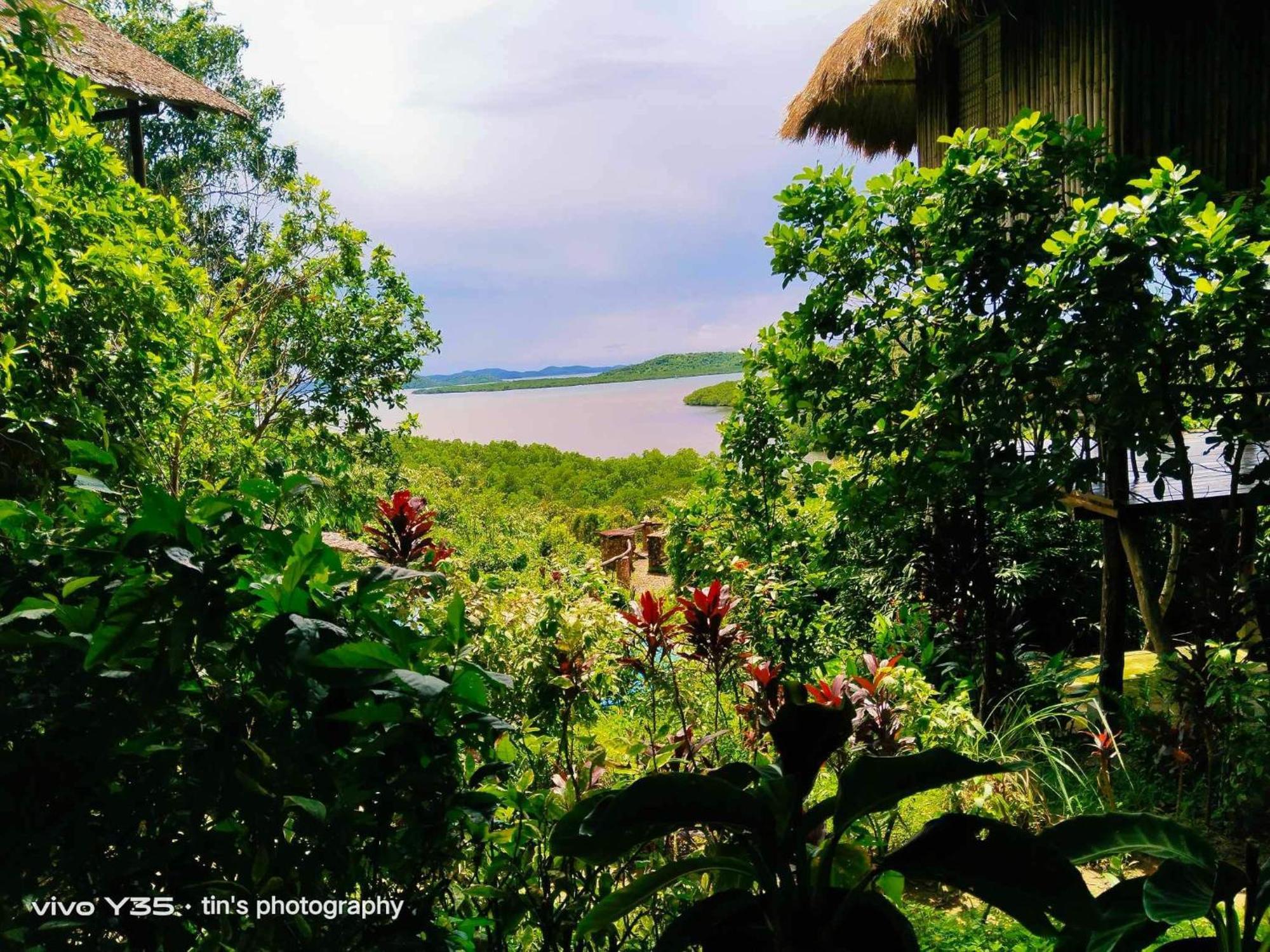 Sanctuaria Treehouses Busuanga Dış mekan fotoğraf