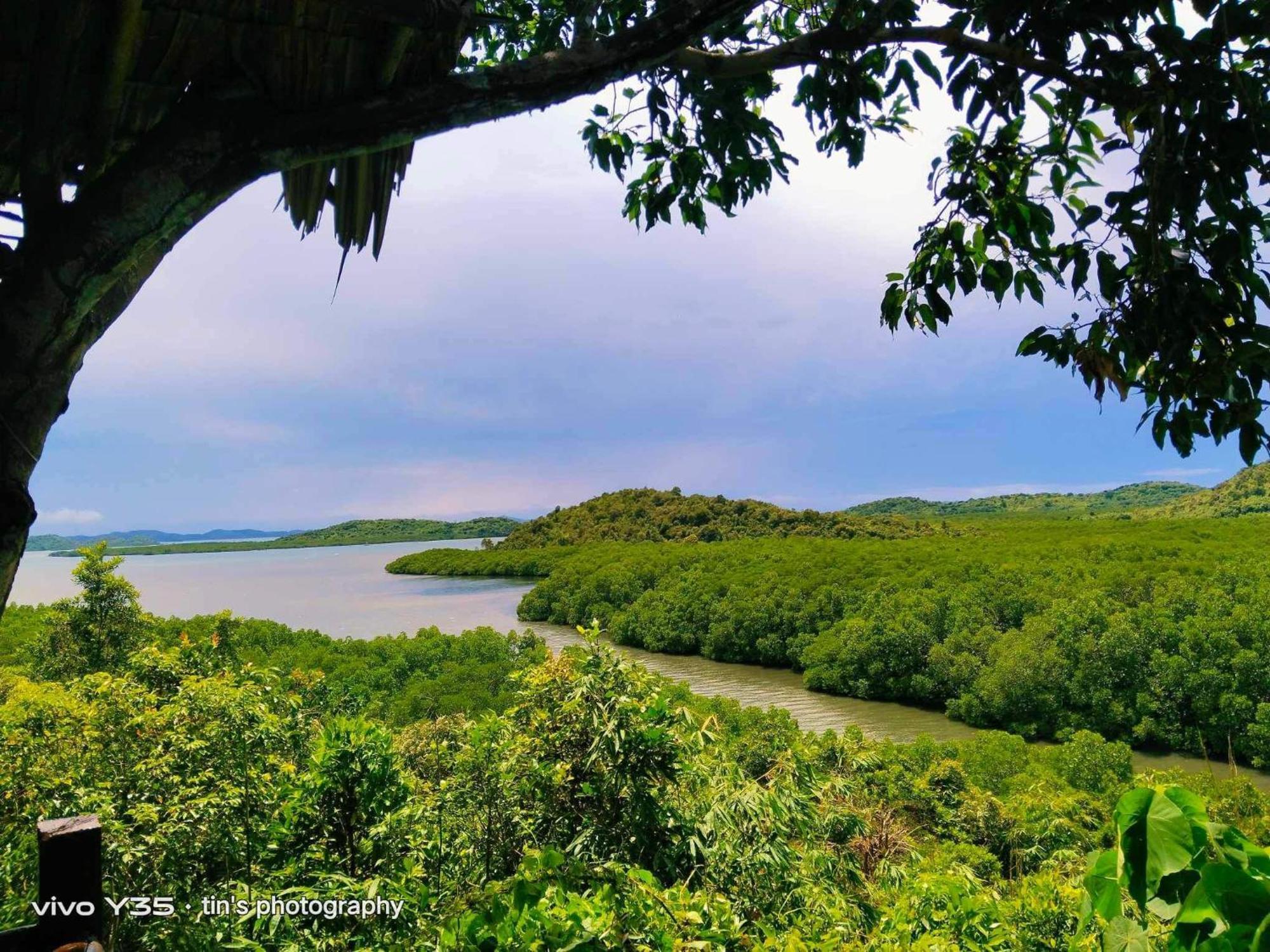 Sanctuaria Treehouses Busuanga Dış mekan fotoğraf