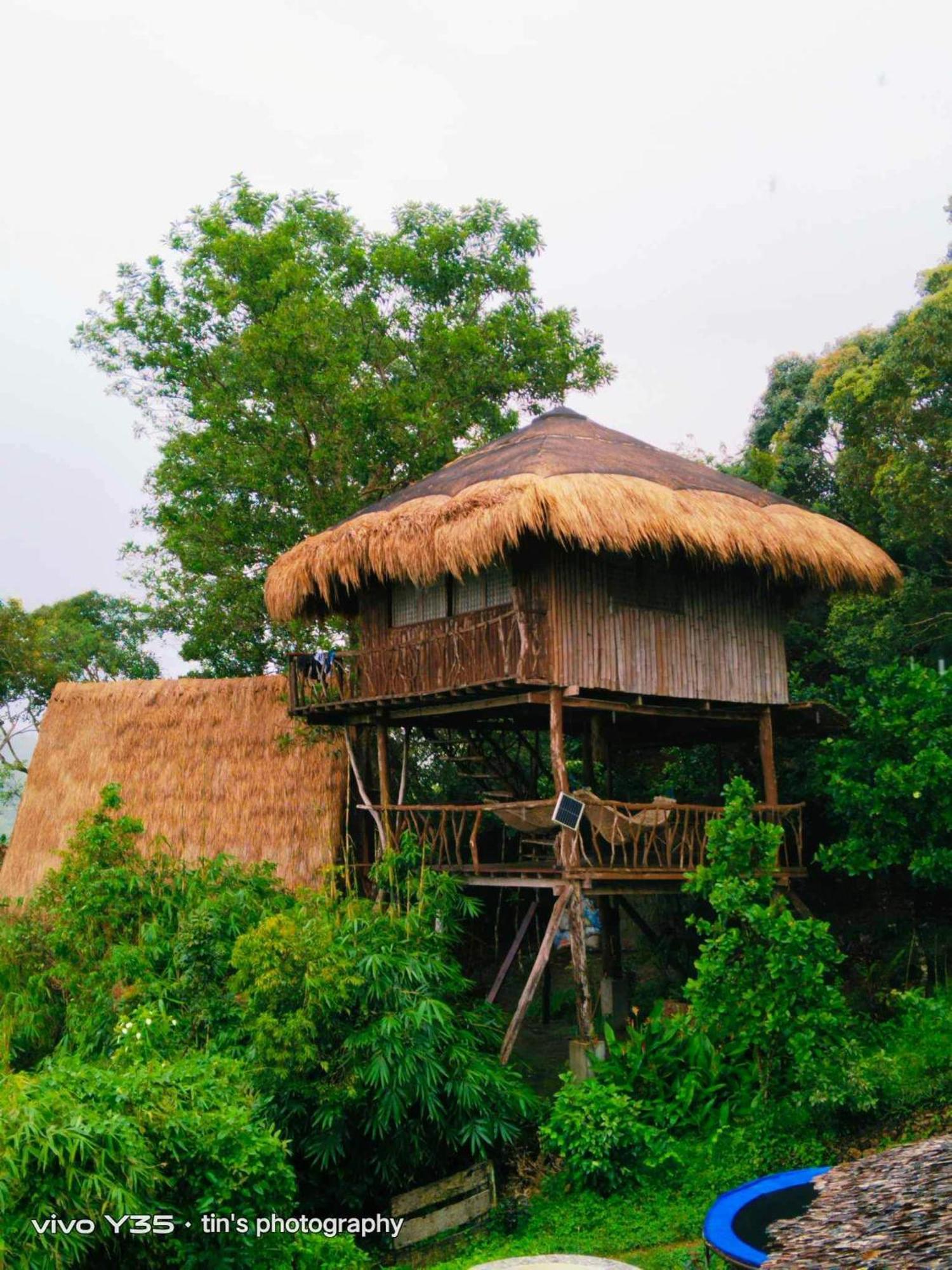 Sanctuaria Treehouses Busuanga Dış mekan fotoğraf