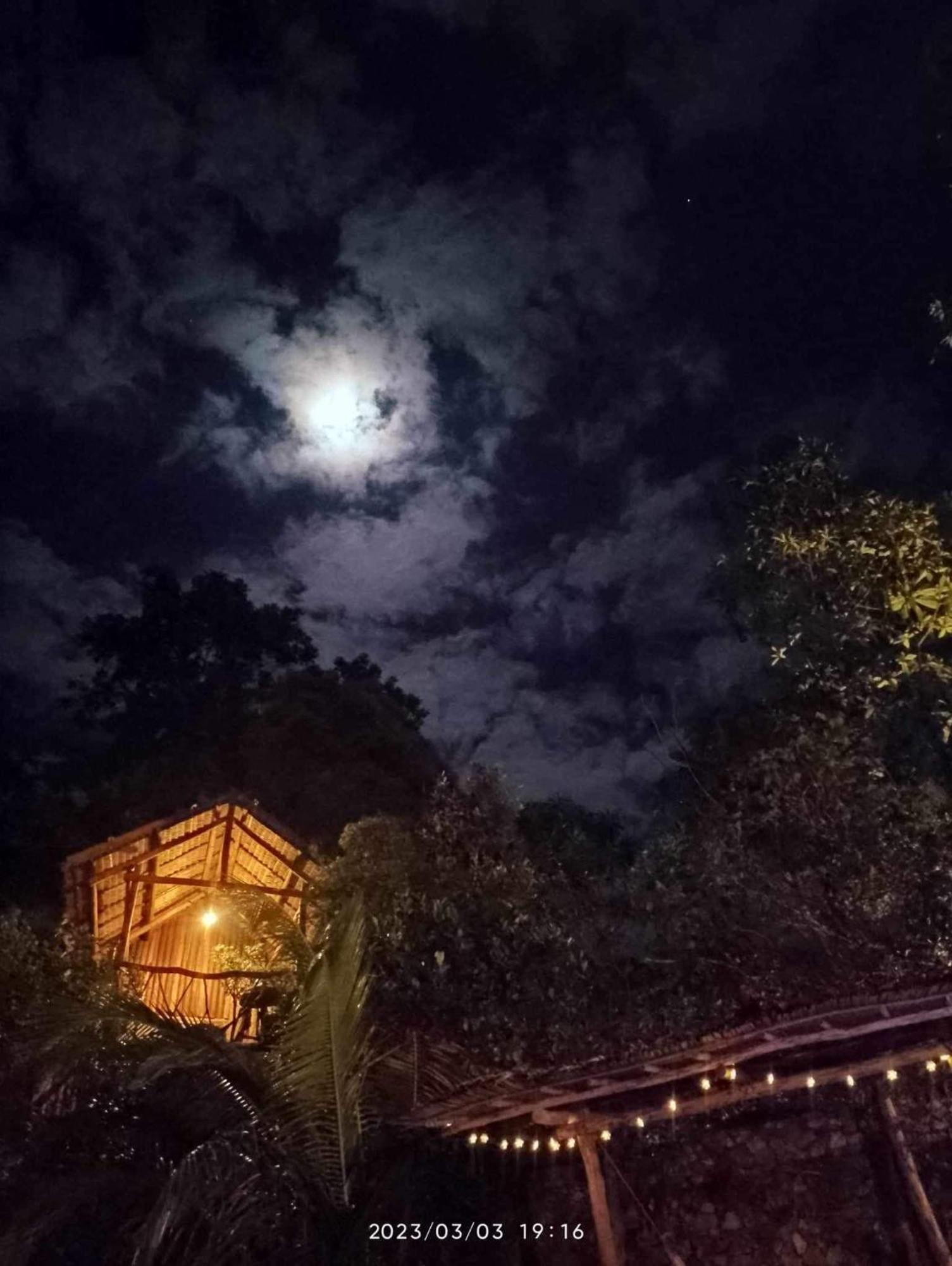 Sanctuaria Treehouses Busuanga Dış mekan fotoğraf