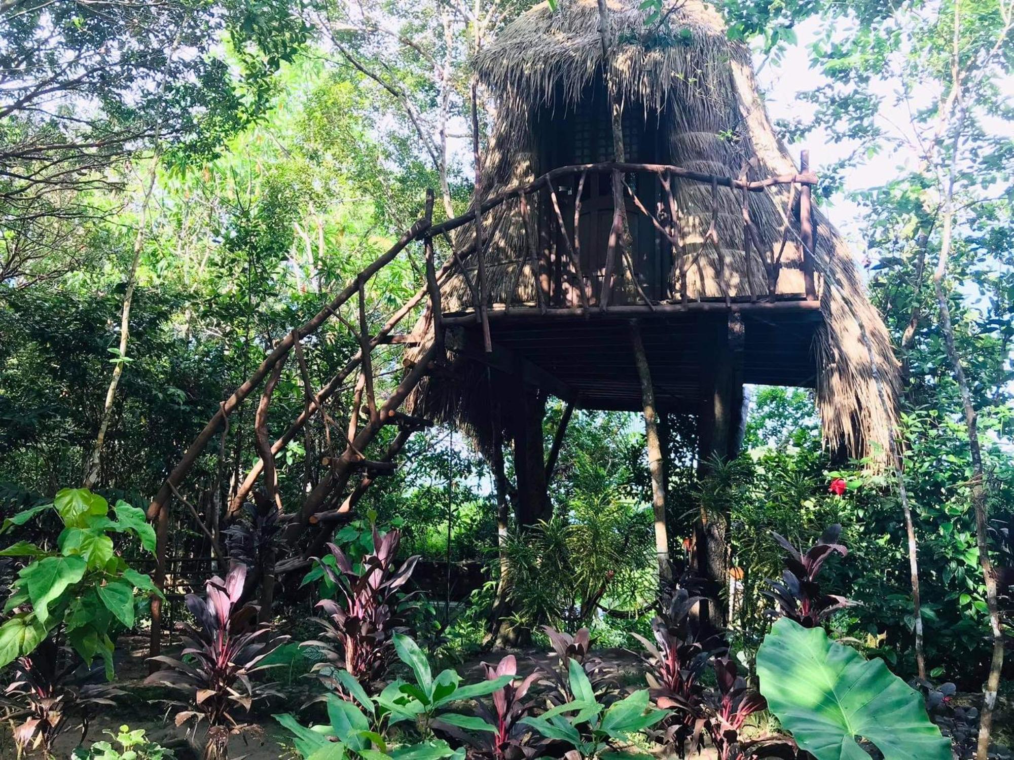 Sanctuaria Treehouses Busuanga Dış mekan fotoğraf